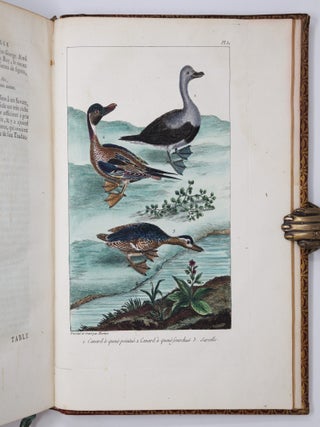 L'histoire naturelle, &eacute;claircie dans une des ses parties principales, l'ornithologie, qui traite des oiseaux de terre, de mer et de riviere, tant de nos climats que des pays &eacute;trangers. Ouvrage traduit du Latin du Synopsis avium de Ray, augment&eacute; d'un grand nombre de descriptions & de remarques historiques sur le caractere des Oiseaux, leur industrie & leurs ruses. Par M. Salerne, Docteur en M&eacute;decine &agrave; Orl&eacute;ans, Correspondant de l'Acad&eacute;mie Royale des Sciences. Enrichi de trente-une Figures dessin&eacute;es d'apr&egrave;s nature