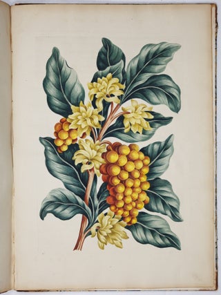 A decade of curious and elegant trees and plants: drawn after specimens received from The East Indies, and America, In the year 1772; and accurately engraved: with Their history and characters, in English and Latin. By J. Hill, M. D. member of the Imperial Academy
