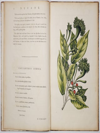 A decade of curious and elegant trees and plants: drawn after specimens received from The East Indies, and America, In the year 1772; and accurately engraved: with Their history and characters, in English and Latin. By J. Hill, M. D. member of the Imperial Academy