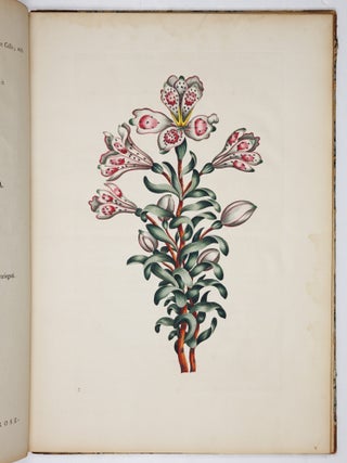A decade of curious and elegant trees and plants: drawn after specimens received from The East Indies, and America, In the year 1772; and accurately engraved: with Their history and characters, in English and Latin. By J. Hill, M. D. member of the Imperial Academy