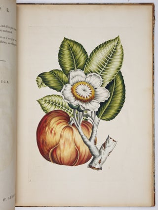 A decade of curious and elegant trees and plants: drawn after specimens received from The East Indies, and America, In the year 1772; and accurately engraved: with Their history and characters, in English and Latin. By J. Hill, M. D. member of the Imperial Academy
