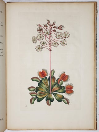 A decade of curious and elegant trees and plants: drawn after specimens received from The East Indies, and America, In the year 1772; and accurately engraved: with Their history and characters, in English and Latin. By J. Hill, M. D. member of the Imperial Academy