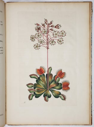 A decade of curious and elegant trees and plants: drawn after specimens received from The East Indies, and America, In the year 1772; and accurately engraved: with Their history and characters, in English and Latin. By J. Hill, M. D. member of the Imperial Academy