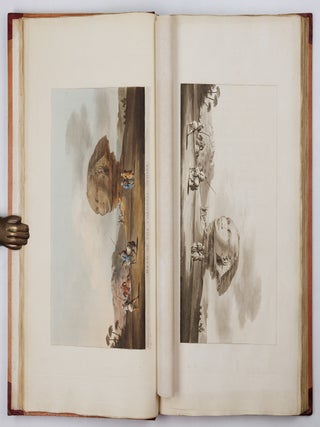 Views in Egypt, from the Original Drawings in the possession of Sir Robert Ainslie, taken during his embassy to Constantinople by Luigi Mayer: Engraved by and under the Direction of Thomas Milton: with historical observations and incidental illustrations of the Manners and Customs of the Natives of that Country