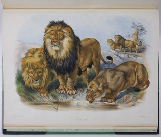 A monograph of the Felidæ or family of the cats