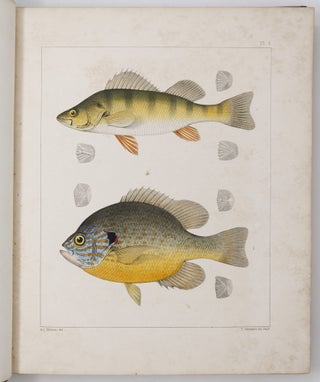 Ichthyology of South Carolina