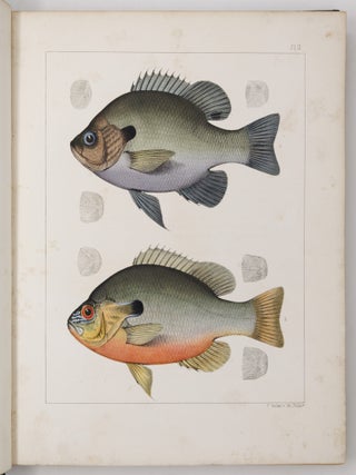 Ichthyology of South Carolina