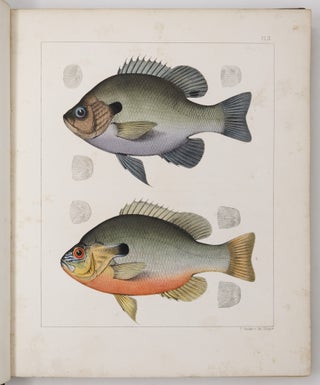 Ichthyology of South Carolina