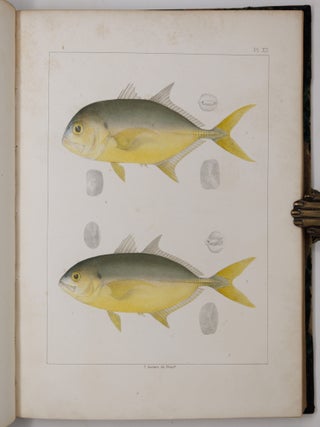 Ichthyology of South Carolina