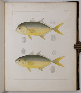 Ichthyology of South Carolina