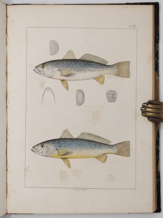 Ichthyology of South Carolina