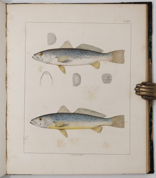 Ichthyology of South Carolina
