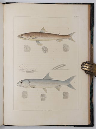 Ichthyology of South Carolina