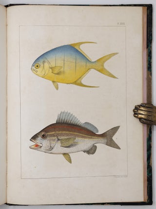 Ichthyology of South Carolina