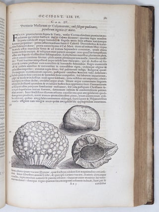Novus Orbis