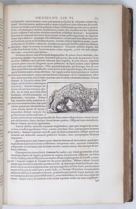 Novus Orbis