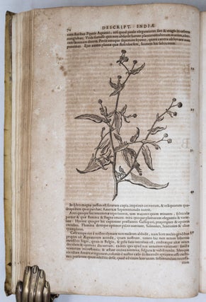 Novus Orbis seu descriptionis Indiae Occidentalis libri XVIII Authore Ioanne de Laet Antverp. Novis Tabulis Geographicis et variis Animantium, Plantarum Fructuumque Iconibus illustrati