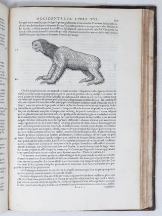 L'Histoire du Nouveau Monde ou Description des Indes Occidentales, Contenant dix-huict Liures, Par le Sieur Iean de Laet, d'Anuers; Enrichi de nouuelles Tables Geographiques & Figures des Animaux, Plantes & Fruicts
